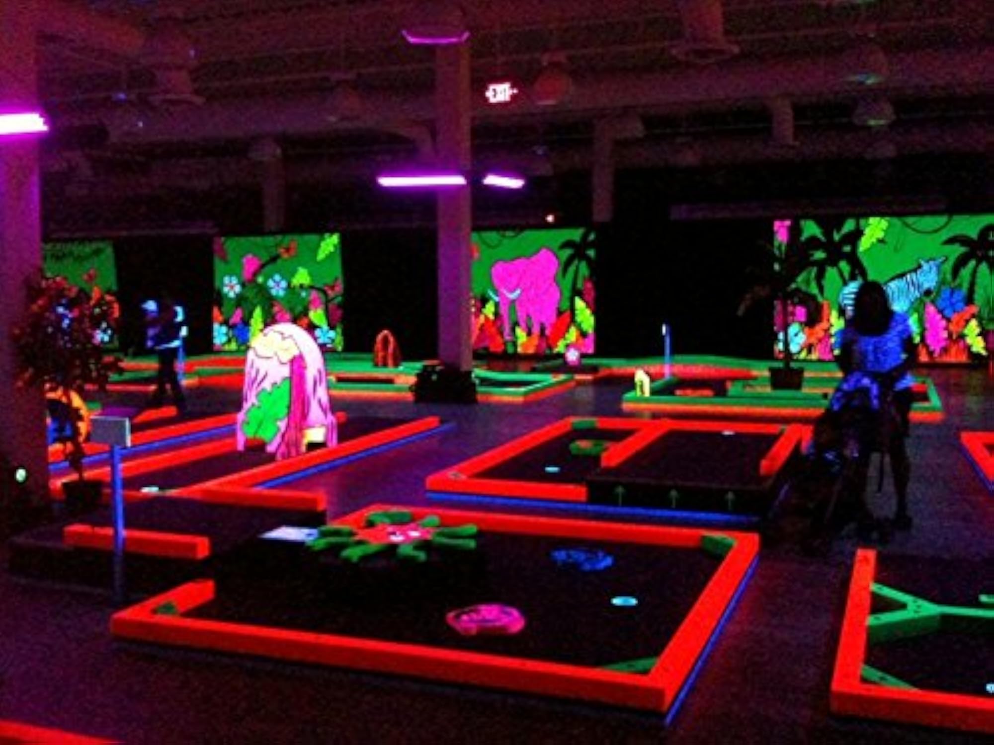 UV Glow Fluorescent Paint
